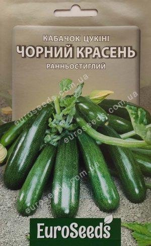 Насіння Кабачок Чорний красень (EuroSeeds) - 8 г.