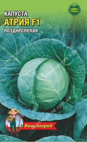 Насіння Капуста Атрія F1 (1 г.)