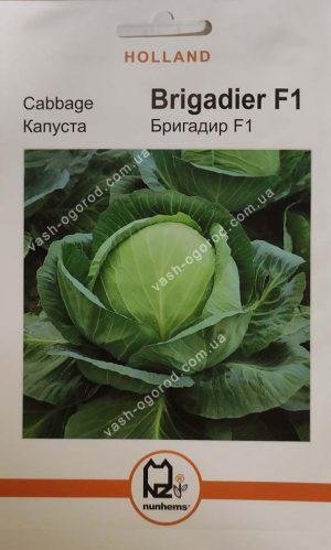 Насіння Капуста Бригадир F1 (1 г.) голлан.