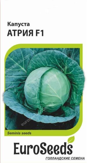 Насіння Капуста Атрія F1 (голландія) EuroSeeds - 20 нас.