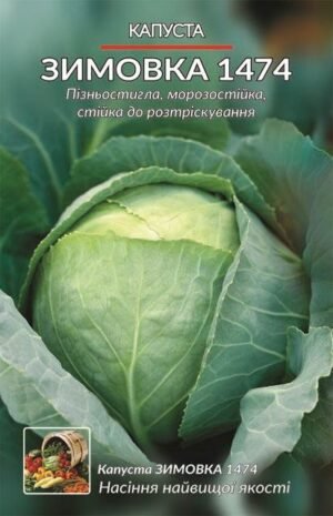Насіння Капуста  Зимовка (1 г.)