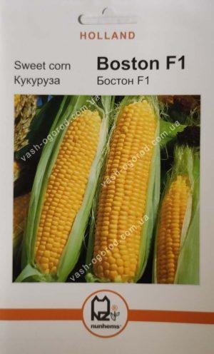 Насіння Кукурудза Бостон F1 (7 г.) голлан.