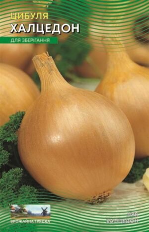 Насіння Цибуля Халцедон (малий)