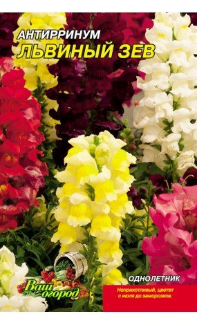 Насіння Львиний зів суміш (малий)