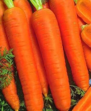 Насіння Морква Королева осені (вага)