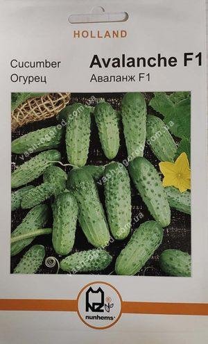 Насіння Огірок Аваланж F1 (1 г.) голлан.