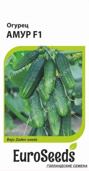 Насіння Огірок Амур F1 (голландія) EuroSeeds - 10 нас.