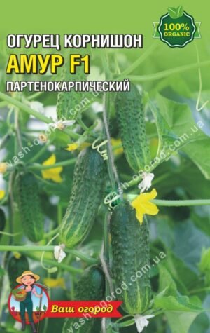 Маленький пакет овочи та квіти