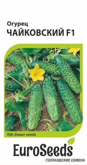 Насіння Огірок Чайковський F1 (голландія) EuroSeeds - 10 нас.