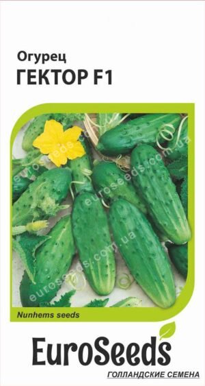Насіння Огірок Гектор F1 (голландія) EuroSeeds - 10 нас.