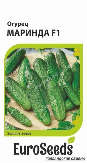 Насіння Огірок Марінда F1 (голландія) EuroSeeds - 10 нас.