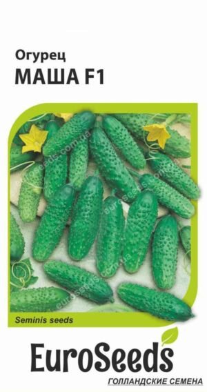 Насіння Огірок Маша F1 (голландія) EuroSeeds - 10 нас.