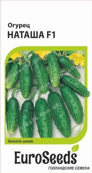 Насіння Огірок Наташа F1 (голландія) EuroSeeds - 10 нас.