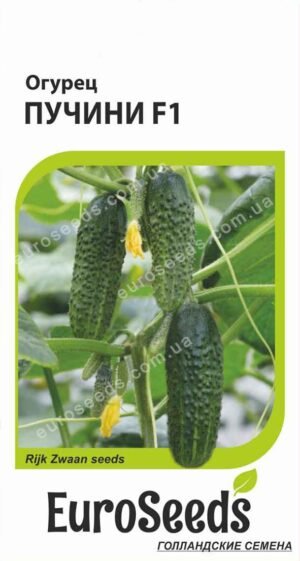 Насіння Огірок Пучіні F1 (голландія) EuroSeeds - 10 нас.