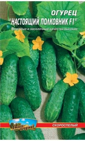 Насіння Огірок Справжній полковник F1 (малий)