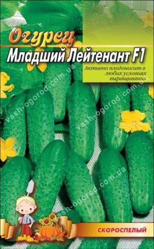 Насіння Огірок Молодший лейтенант F1 (1 г.)