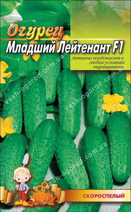 Насіння Огірок Молодший лейтенант F1 (1 г.)