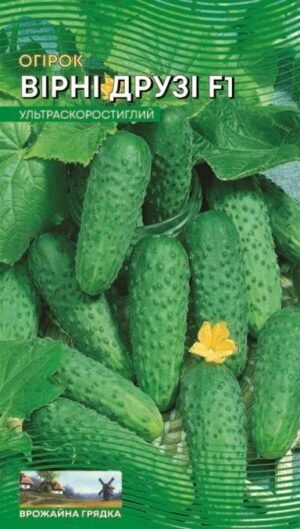 Насіння Огірок Вірні друзі F1 (малий)