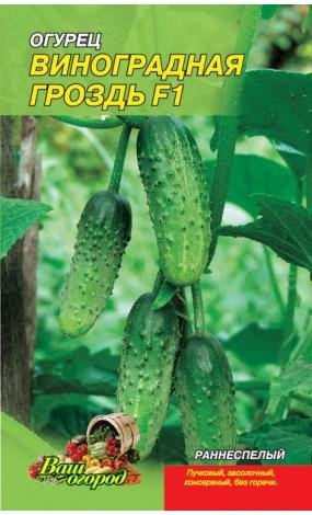 Насіння Огірок Виноградне гроно F1 (малий)