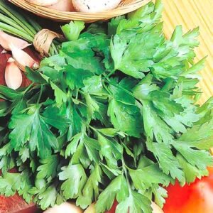 Насіння Петрушка листова (вага)