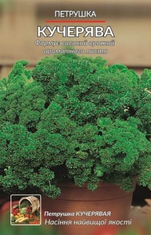 Насіння Петрушка Кучерява (10 г.)