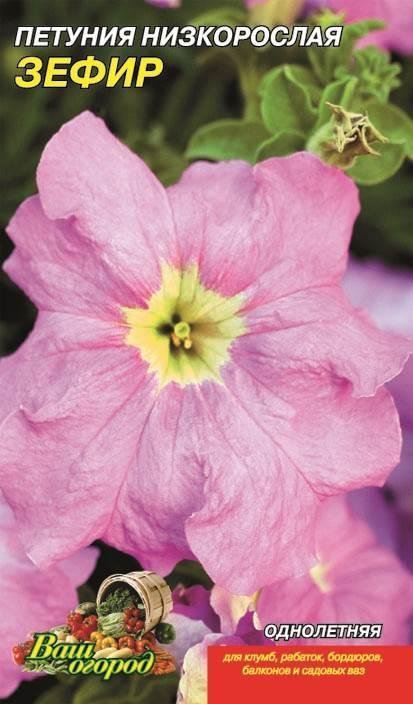Насіння Петунія Зефір (малий)