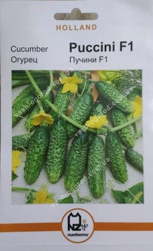 Насіння Огірок Пучіні F1 (1 г.) голлан.
