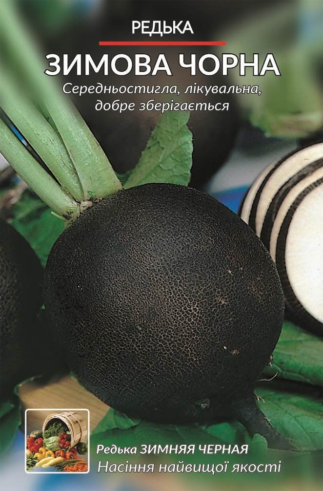 Насіння Редька Зимова чорна (малий)