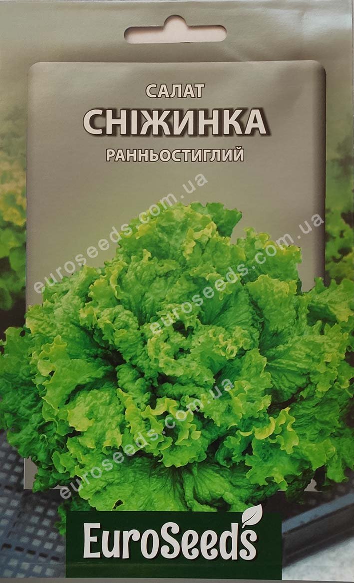 Насіння Салат Сніжинка (EuroSeeds) - 8 г.