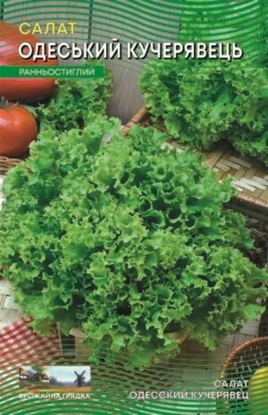 Насіння Салат Одеський кучерявець (5 г.)