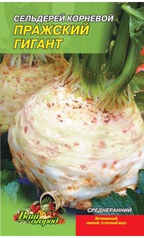 Насіння Селера Празький гігант (малий)