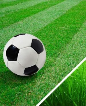 Газонна трава Спортивна 1 кг.