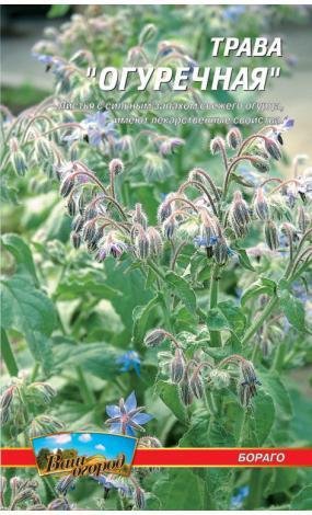 Насіння Огіркова трава (малий)