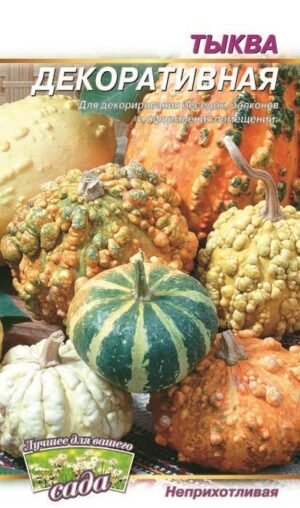 Насіння Гарбуз Декоративний (малий)