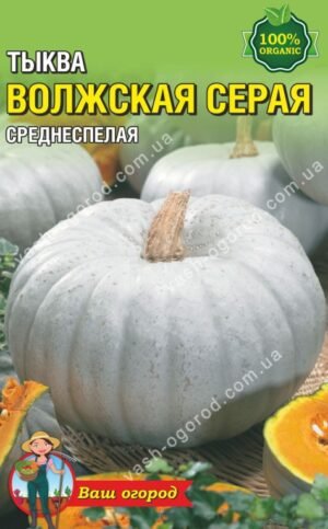 Насіння Гарбуз Волзький сірий (Ваш город) - 15 г.