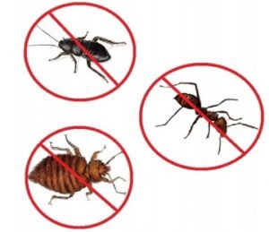 Від мурах та тарганів