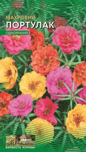 Насіння Портулак Махрова суміш (Врожайна грядка) - 2 г.