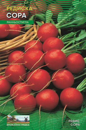 Насіння Редис Сора 10 г.