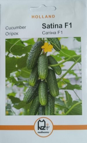 Насіння Огірок Сатіна (1 г.) голлан.
