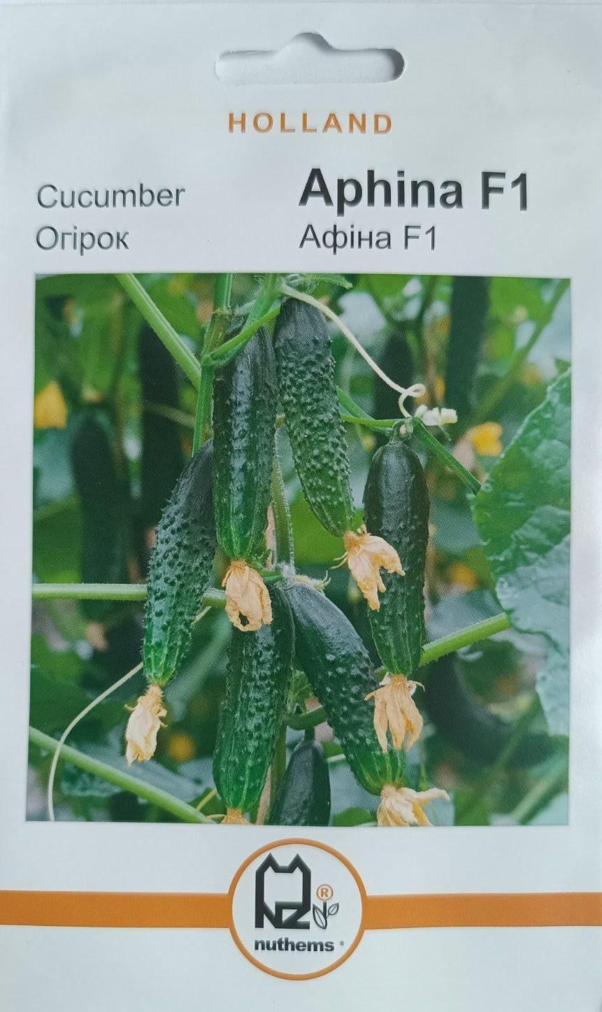 Насіння Огірок Афіна (1 г.) голлан.